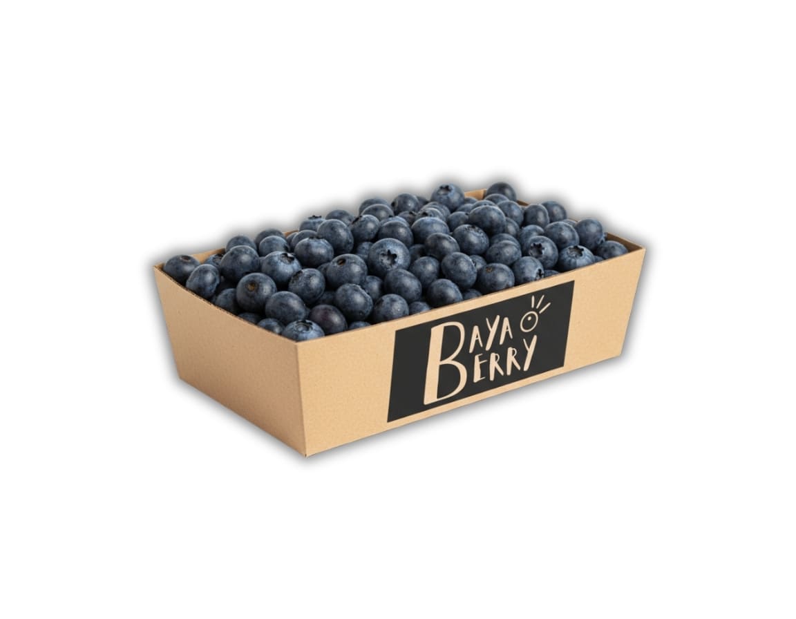 Arándanos frescos